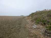 20140301_15.jpg