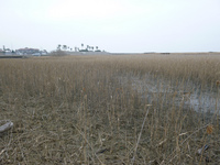 20140301_16.jpg