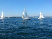 DSC_0116.jpg