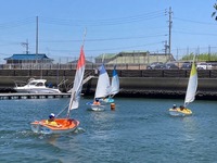IMG_1382.jpg