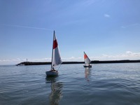 IMG_3239.jpg