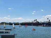 IMG_6790.jpg