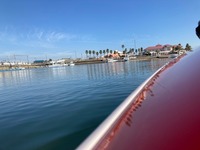 IMG_7897.jpg