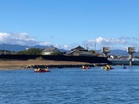 IMG_8513.jpg