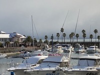 IMG_8735.jpg